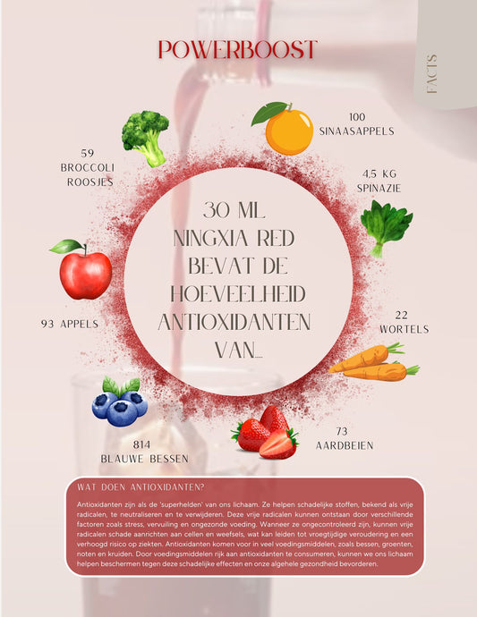 Ningxia red 2 flessen