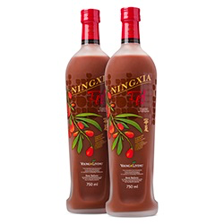 Ningxia red 2 flessen